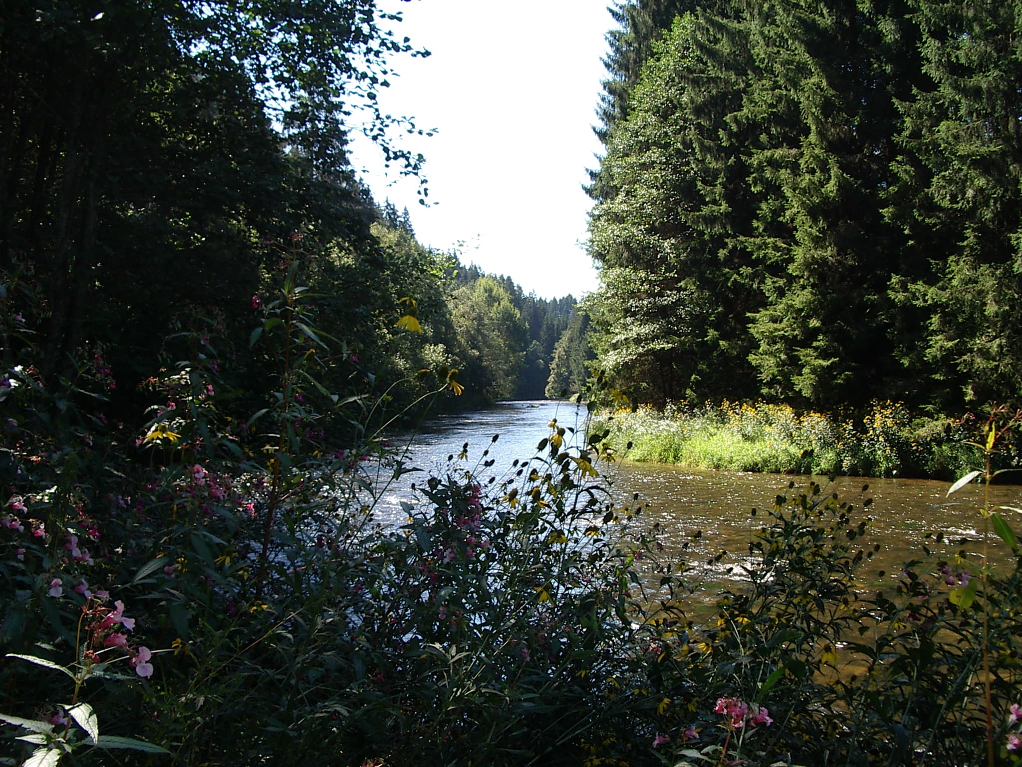 Die große Mühl